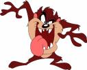 taz